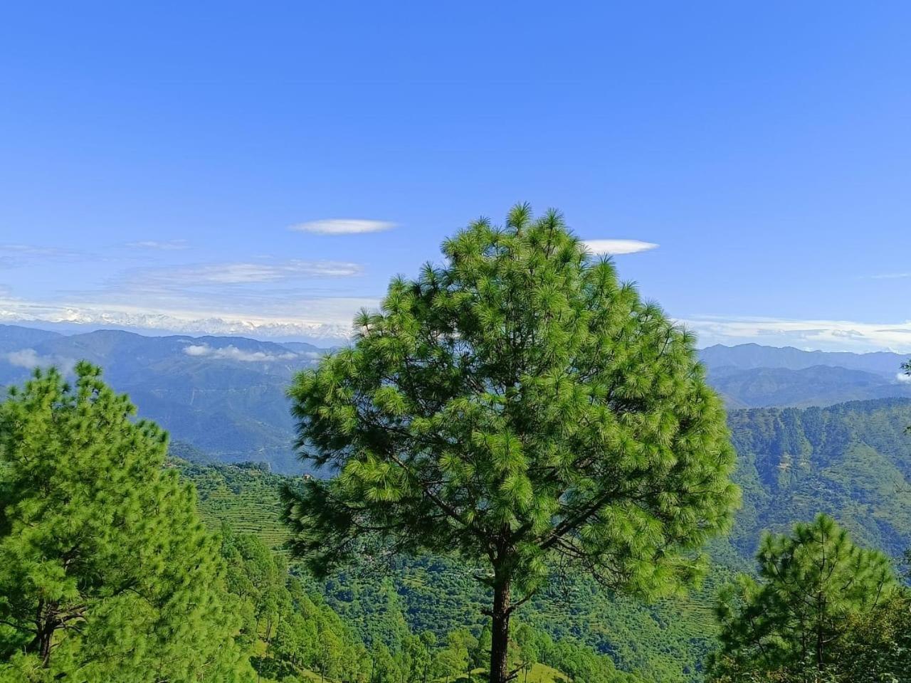Joshi Holiday Home Stay Lansdowne Εξωτερικό φωτογραφία