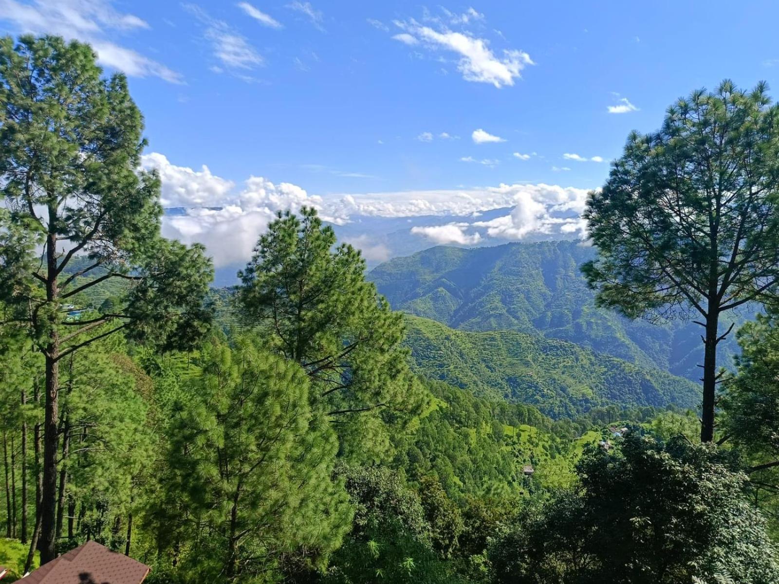 Joshi Holiday Home Stay Lansdowne Εξωτερικό φωτογραφία